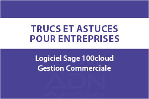 Article-blog-sage100c-gestion-commerciale