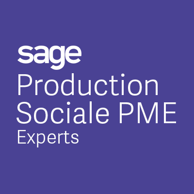 sadn-software-sage-production-sociale-pme-experts