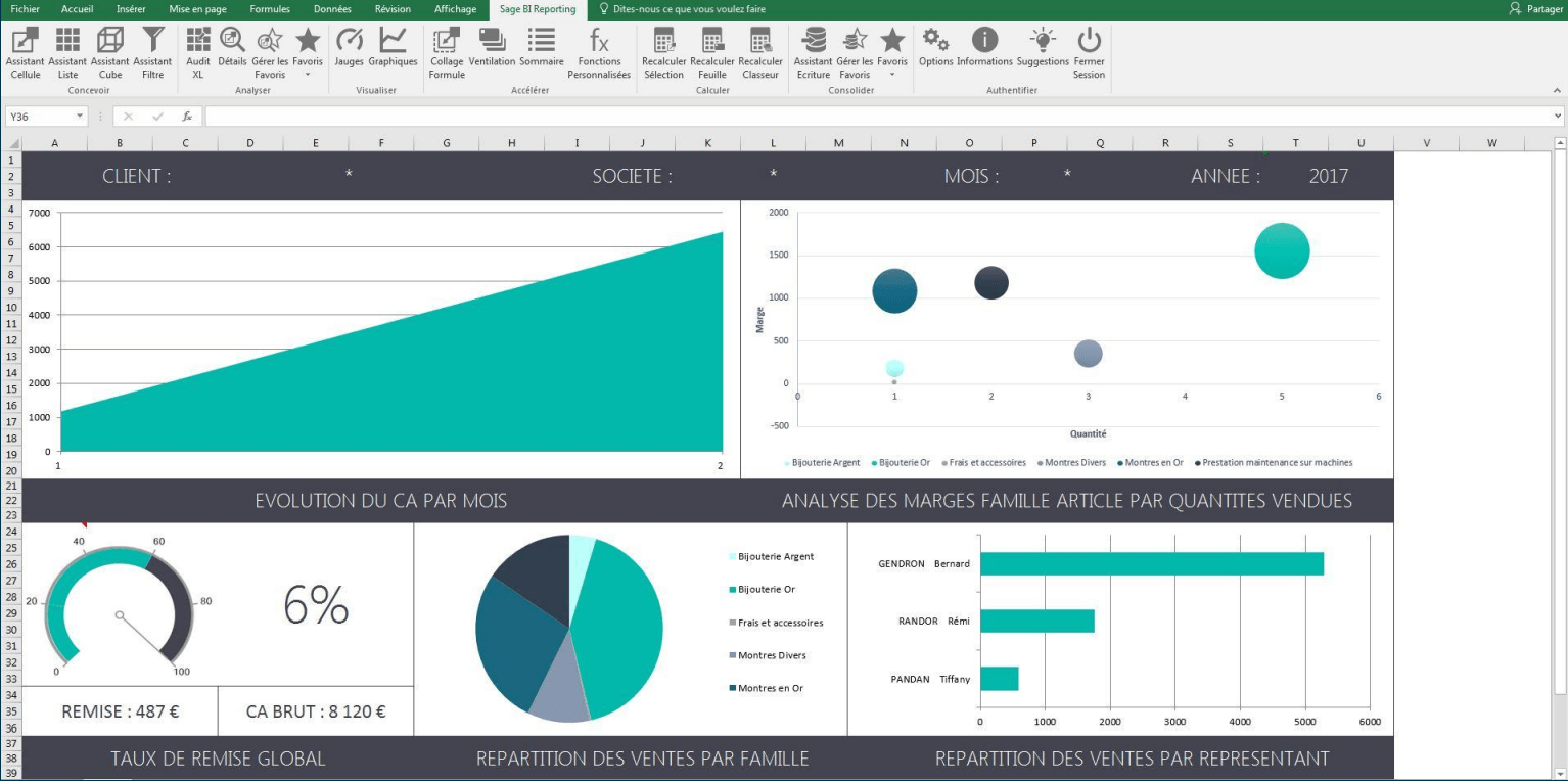 Sage BI Reporting Consultation