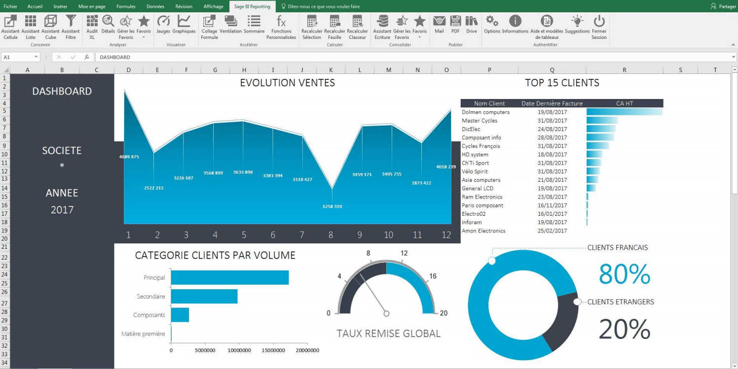 Sage BI Reporting Consultation