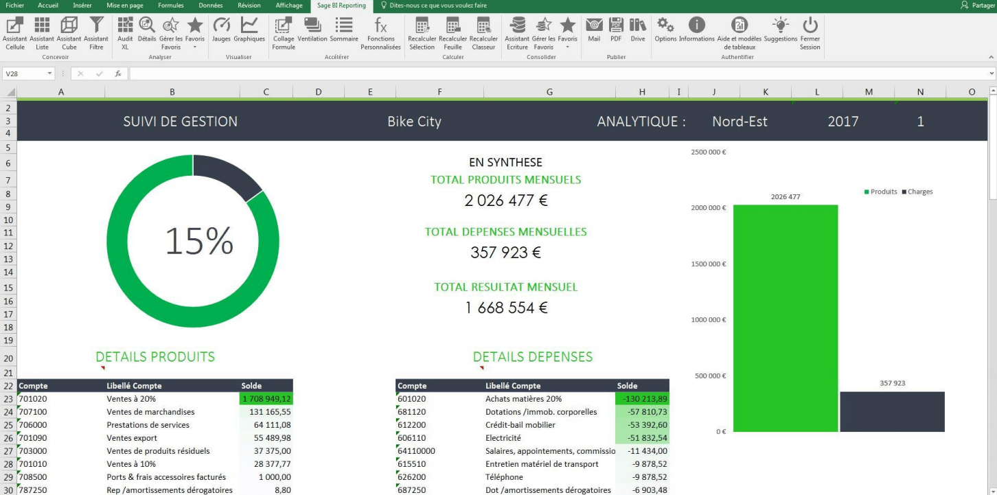 Sage BI Reporting Consultation